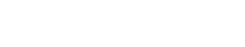 Conversion & Analytics